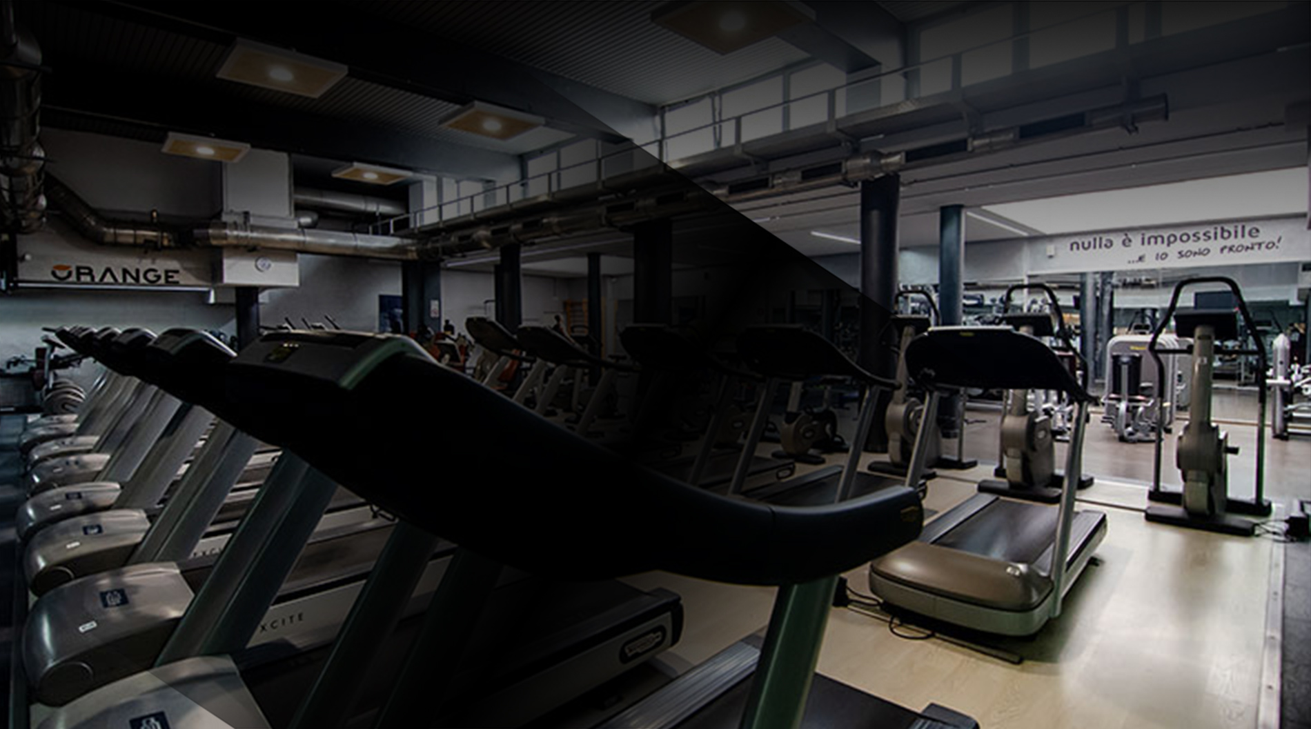 CERCENASCO ORANGE PALESTRE